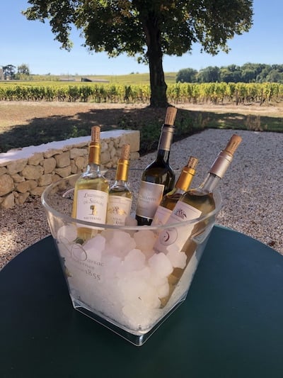 Sampling a range of wine sweet wine styles and vintages from Chateau Sigalas-Rabaud in Sauternes.