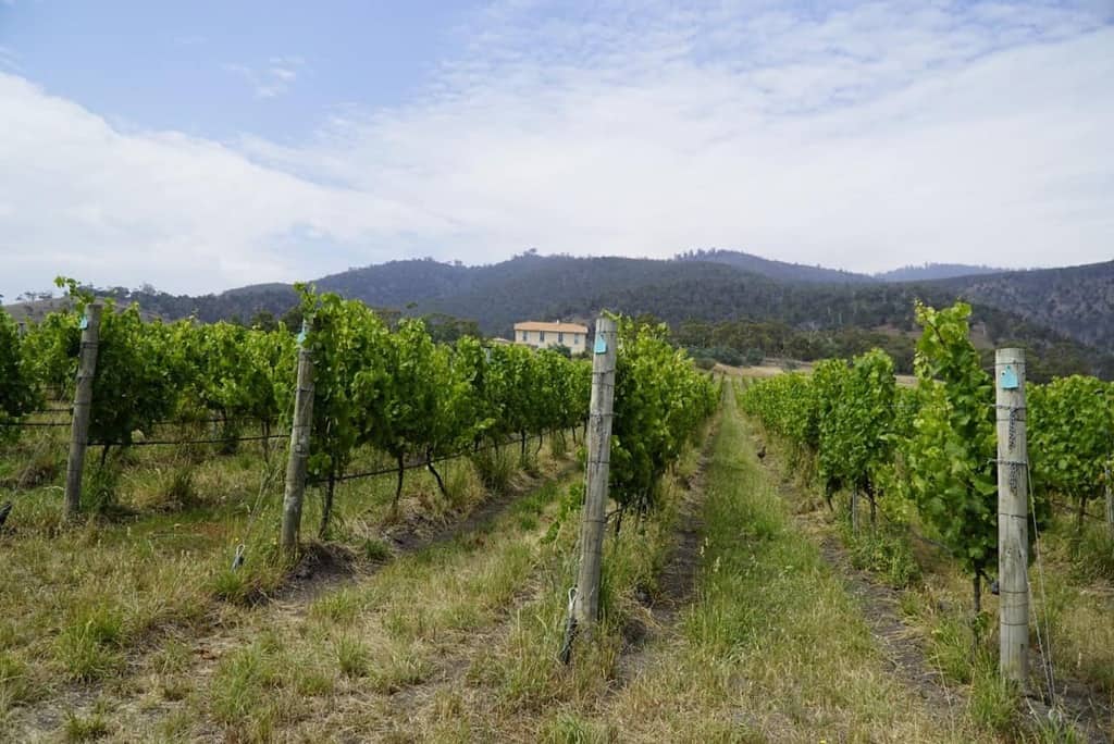 Top Wineries and Distilleries To Visit in Tasmania's Derwent Valley | Winetraveler.com