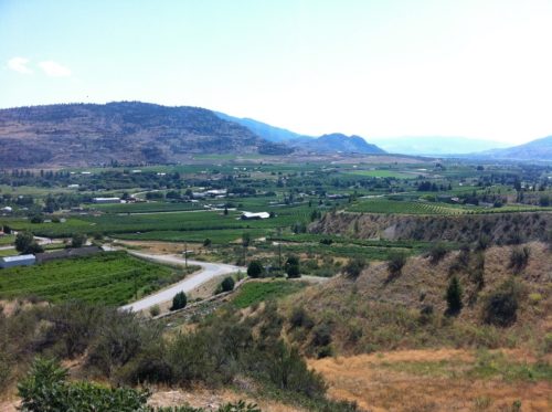 Oliver and Osoyoos Landscape View | Winetraveler.com