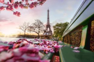 9 Best Essential Things To Do in Paris, France | Winetraveler.com