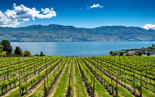 Best Wineries, Restaurants and Hotels in Kelowna, Okanagan, British Columbia Canada | Winetraveler.com