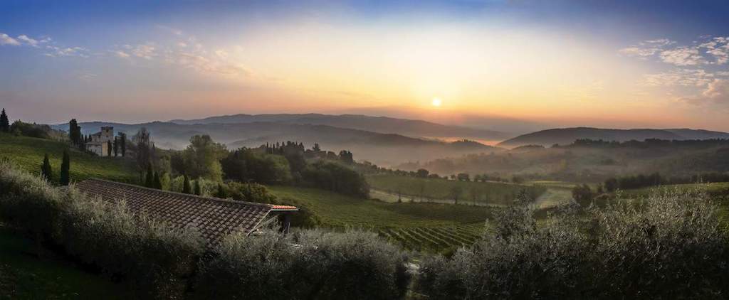 Chianti Classico Wine: History, Intrigue & Regional Style