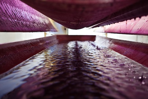 The view from inside a wine press | Winetraveler.com