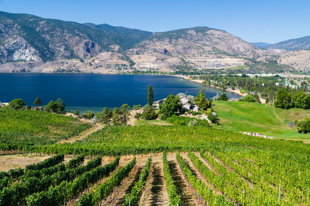 Beautiful view of some of Okanagan's best wineries