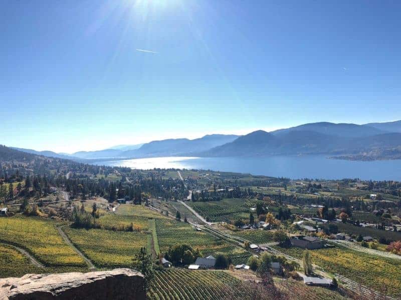 21 Best Naramata Wineries & Wine Tasting Tours for 2024