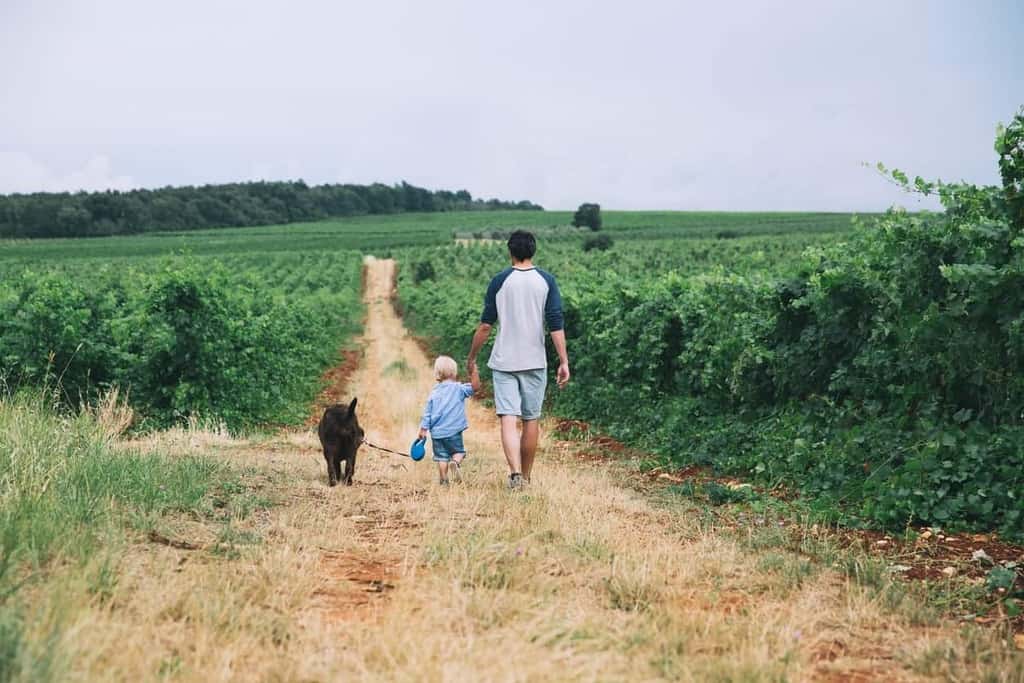 10 Tips For Bringing Kids to Wineries and Vineyards - Family Wine Travel Resources | Winetraveler.com