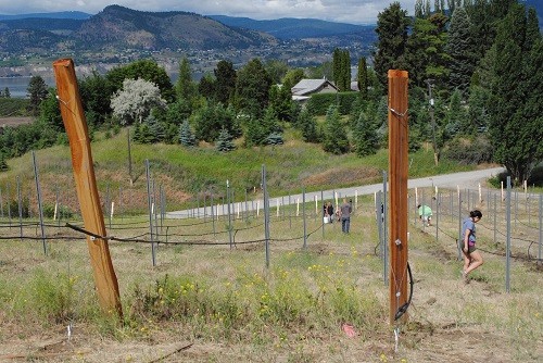 3 Days In Naramata Bc Wineries Restaurants Lodging Winetraveler