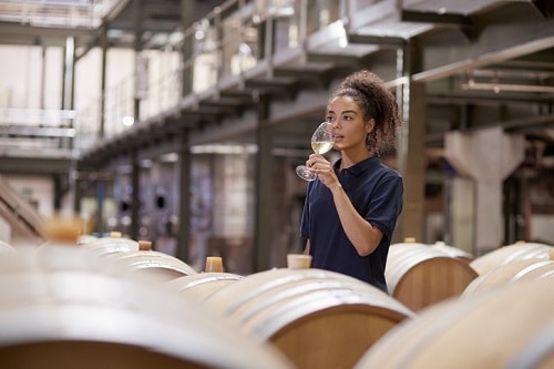 Sampling white wine while it ages in oak barrels