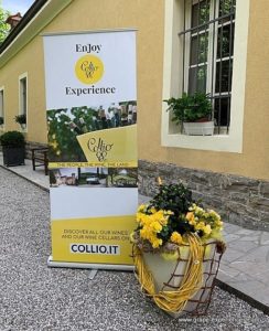 Learn About the Collio Wine Region | Winetraveler.com