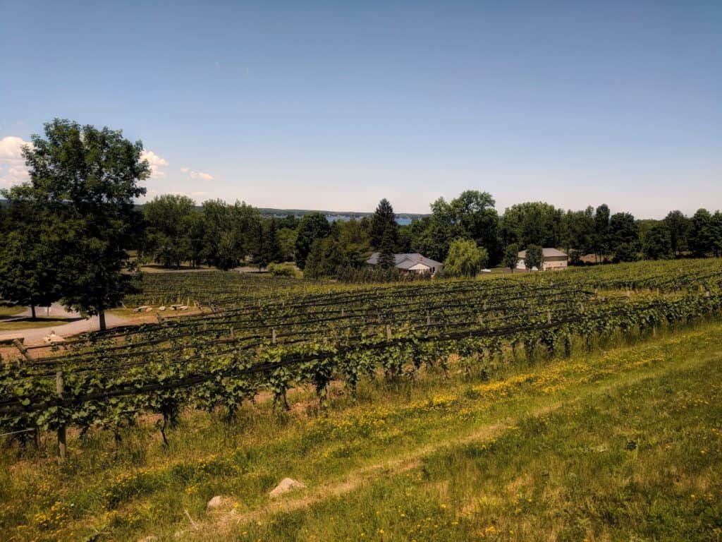 Heart & Hands Wine Company - Old World Wine Styles in Finger Lakes New York