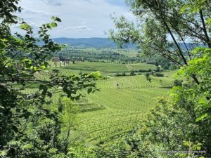 Morning Hiking in Collio