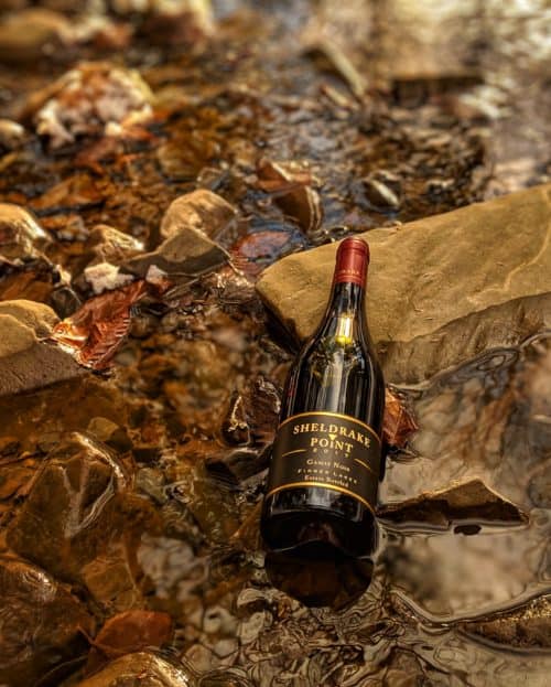 Sheldrake Point Gamay Wine