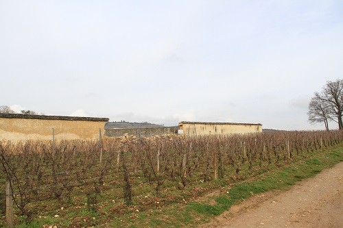 How To Get To Beaune, Burgundy, France for Wine Tasting | Winetraveler.com