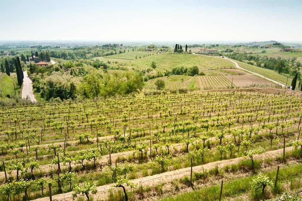 Collio Wine Region Information & Map | Winetraveler.com