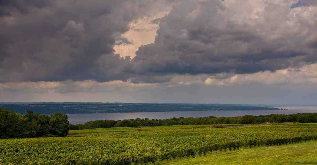 Finger Lakes Wine Styles - Old World Wines in the Finger Lakes (Burgundy, Beaujolais, Bordeaux & Alsacian Wine Styles)