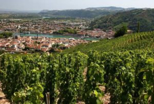 Rhône Valley