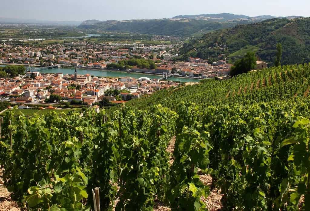 wine tours of rhone valley france