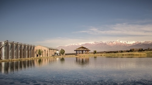 Domaine Bousquet Winery Visit in Mendoza, Argentina.