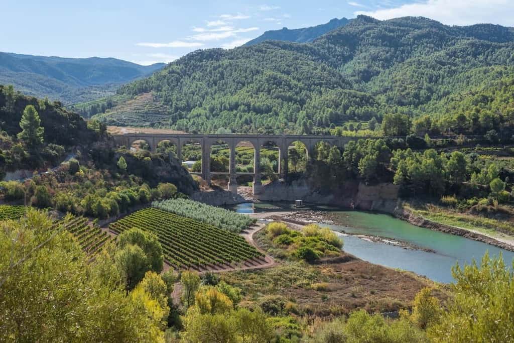 Learn how to Best Plan a Trip To Priorat Spain from a local tour guide, tourism management professor and winemaker with this Priorat Travel Guide. Discover Priorat Travel Tips designed to make your experience in Spain easy, enjoyable and memorable.