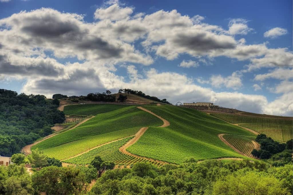 Views from atop DAOU Mountain. Image courtesy the Paso Robles CAB Collective. | Winetraveler.com