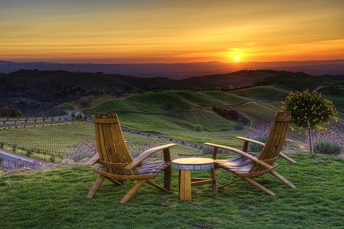 DAOU Vineyards & Winery - Views on Daou Mountain in Paso Robles, California overlooking Cabernet Sauvignon vines