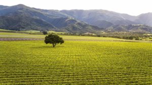 Two-Day Itinerary: The Santa Lucia Highlands of Monterey County California