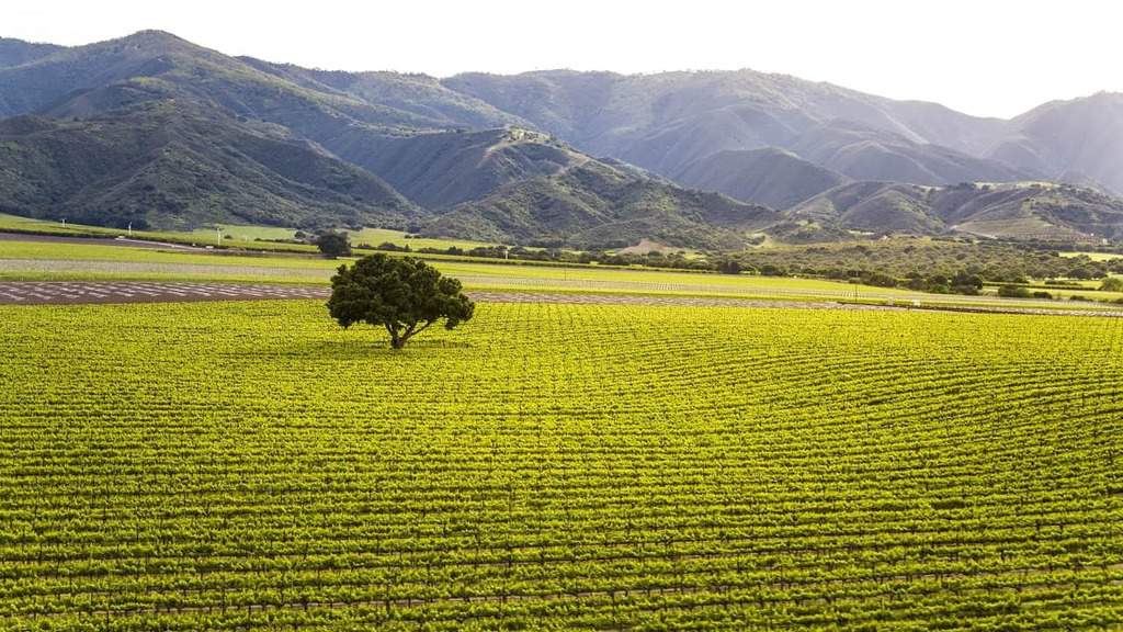 Take a look at our suggested 2 Day Santa Lucia Highlands Itinerary in California's Monterey County. Discover some background on the region, top wineries, to visit, restaurants, hotels and other activities to enjoy in the Santa Lucia Highlands region.