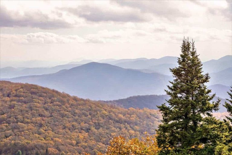 Best North Georgia Wineries & Hiking Trails To Explore