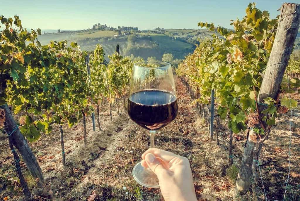 Today Winetraveler is diving into the world of Natural Wine. We provide an explanation for what Natural Wine is, a list of Natural Wines to try from various countries and wine shops, and we explore the Natural Wine trend that has been captivating consumers.