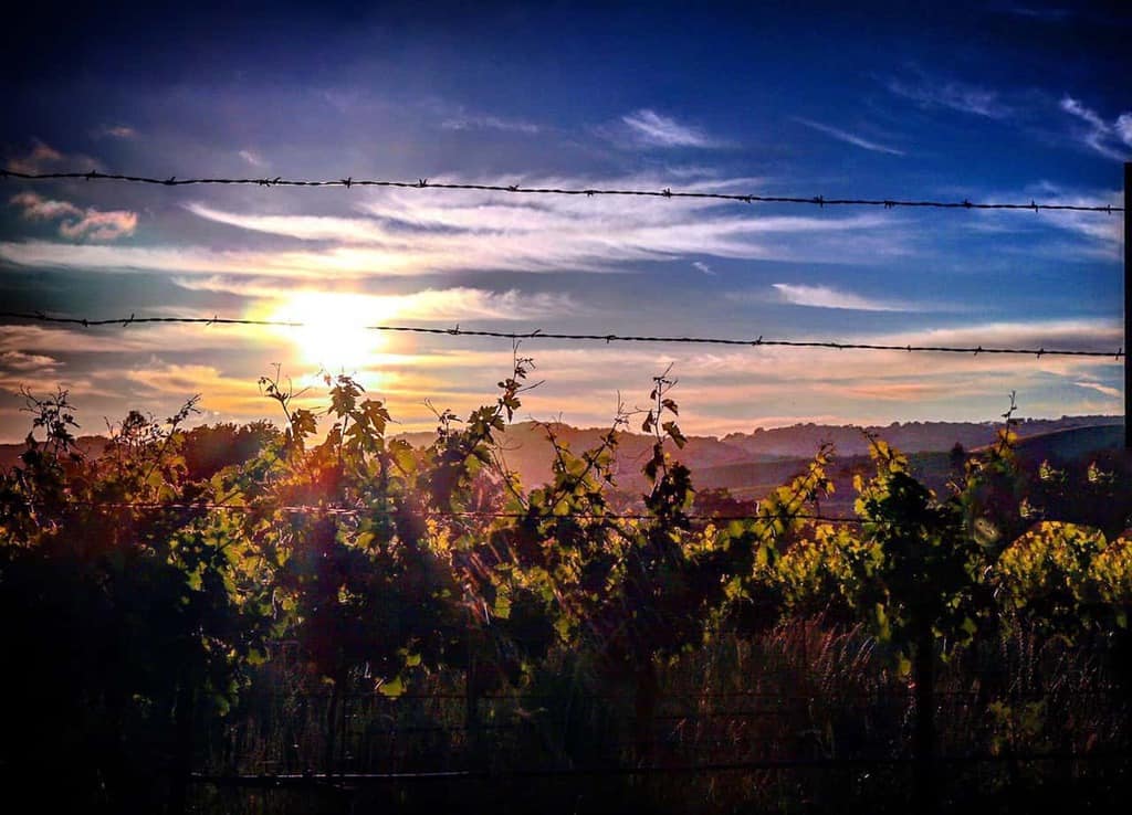 Paso Robles Itinerary for the Best Hotels, Restaurants and Bars To Visit | Winetraveler.com