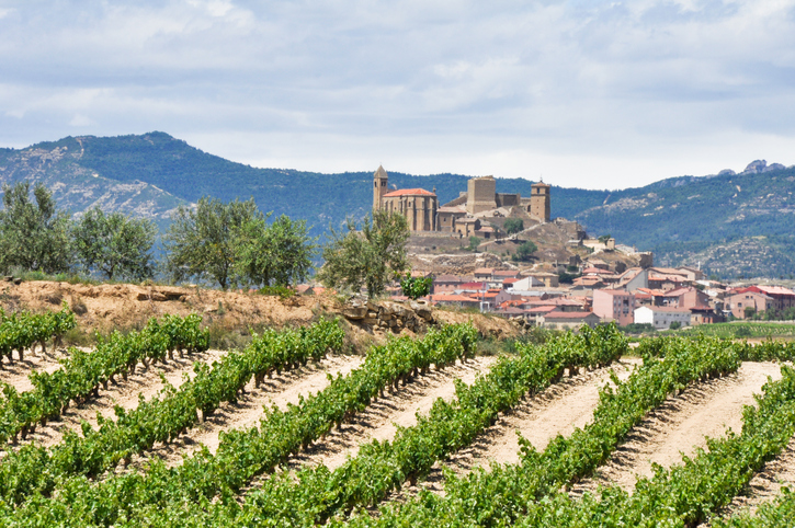 Vineyard with limestone mineral soils pictured in Rioja Spain