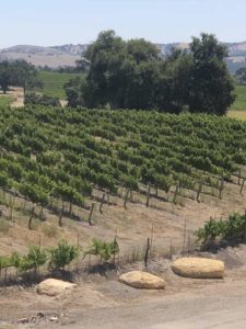 Sextant Winery