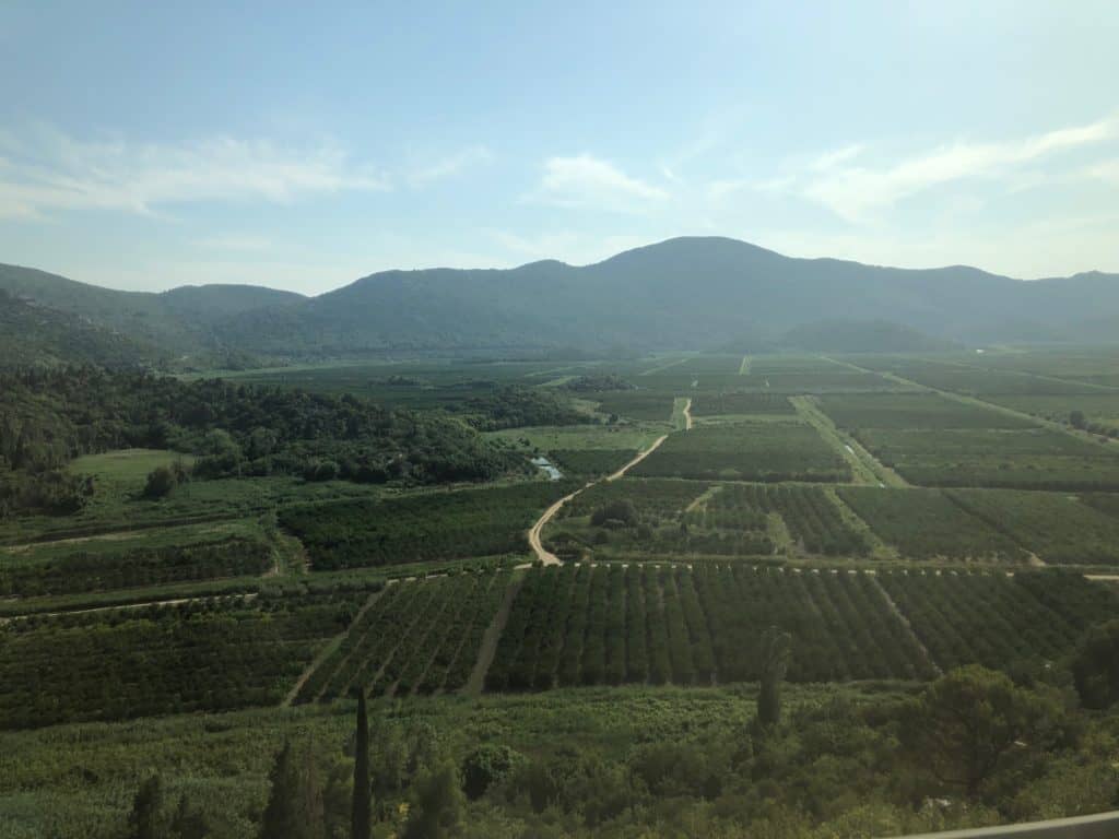 Vineyards in the Peljesac, part of the Dalmatian wine tasting region of Croatia. Photo by Lori Zaino.