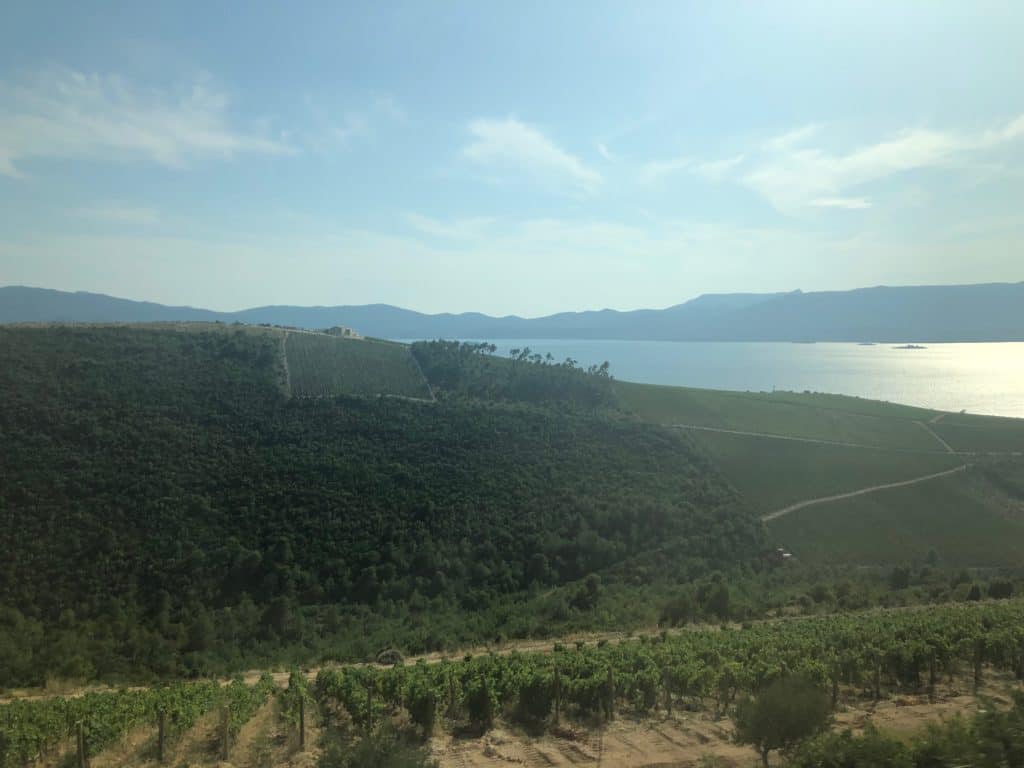 The sloping vineyards of the Peljesac. Photo by Lori Zaino.