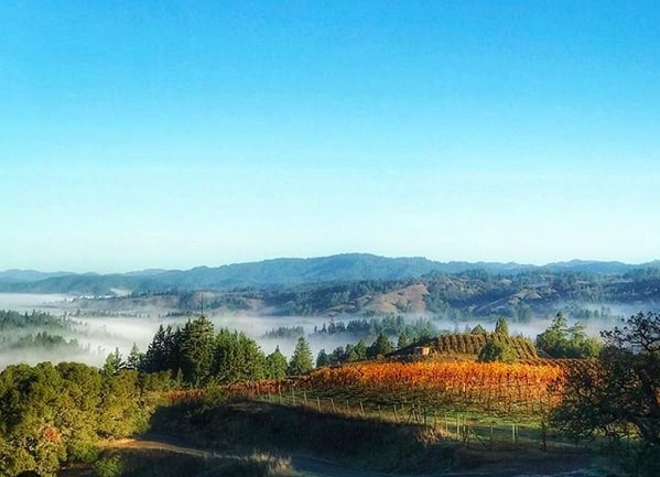 Best Sonoma Coast Wineries and Tasting Rooms To Visit - Sonoma Coast Itinerary for Wineries| Winetraveler.com
