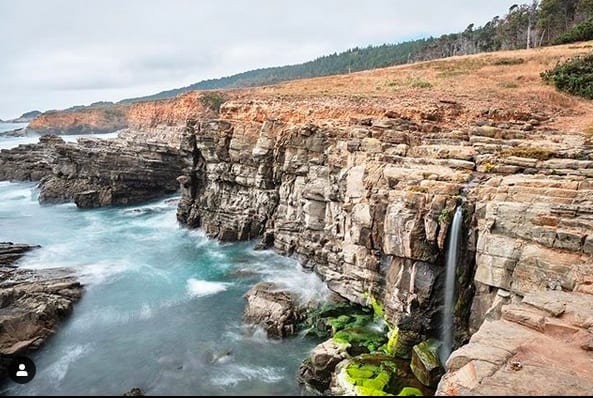 Travel Guide and Itinerary for Exploring California's Sonoma Coast AVA