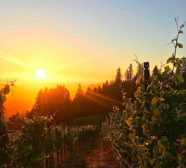 Sonoma Coast Itinerary and Travel Guide | Winetraveler.com