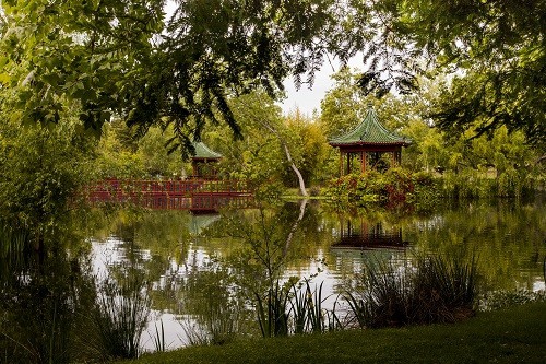 Chateau Montelena Jade Lake Chinese Garden Visit | Winetraveler.com