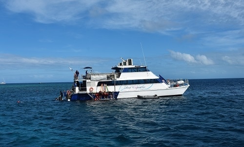 Reef Experience Liveaboard Boat Cairns Great Barrier Reef