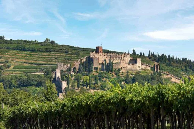 Garganega
