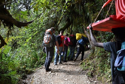Kilimanjaro Hike Day 1