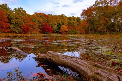 Best Time of Year to Visit the North Fork of Long Island - Autumn