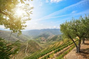Stay at These Beautiful Northern Portugal Wine Hotels