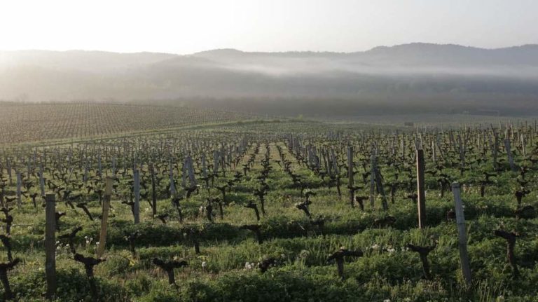 South West France wine region