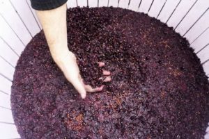 Domaine LeSeurre