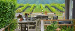 Paumanok Vineyards