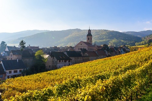5 Wineries To Visit Along the Alsace Wine Route