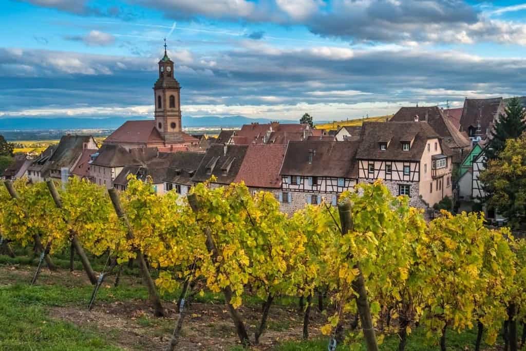 Perfect Alsace Itinerary: Historic Wineries, Tours & Hotels