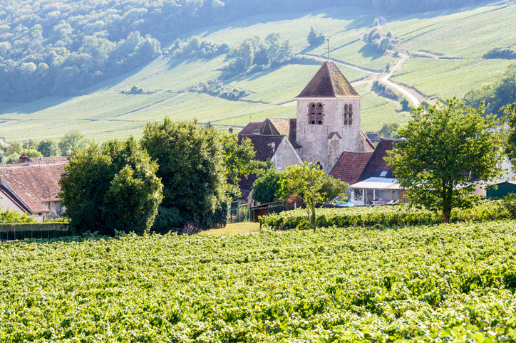 View of a Champagne producer that producers grower champagne