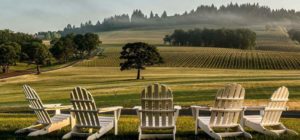 Stoller Family Estate